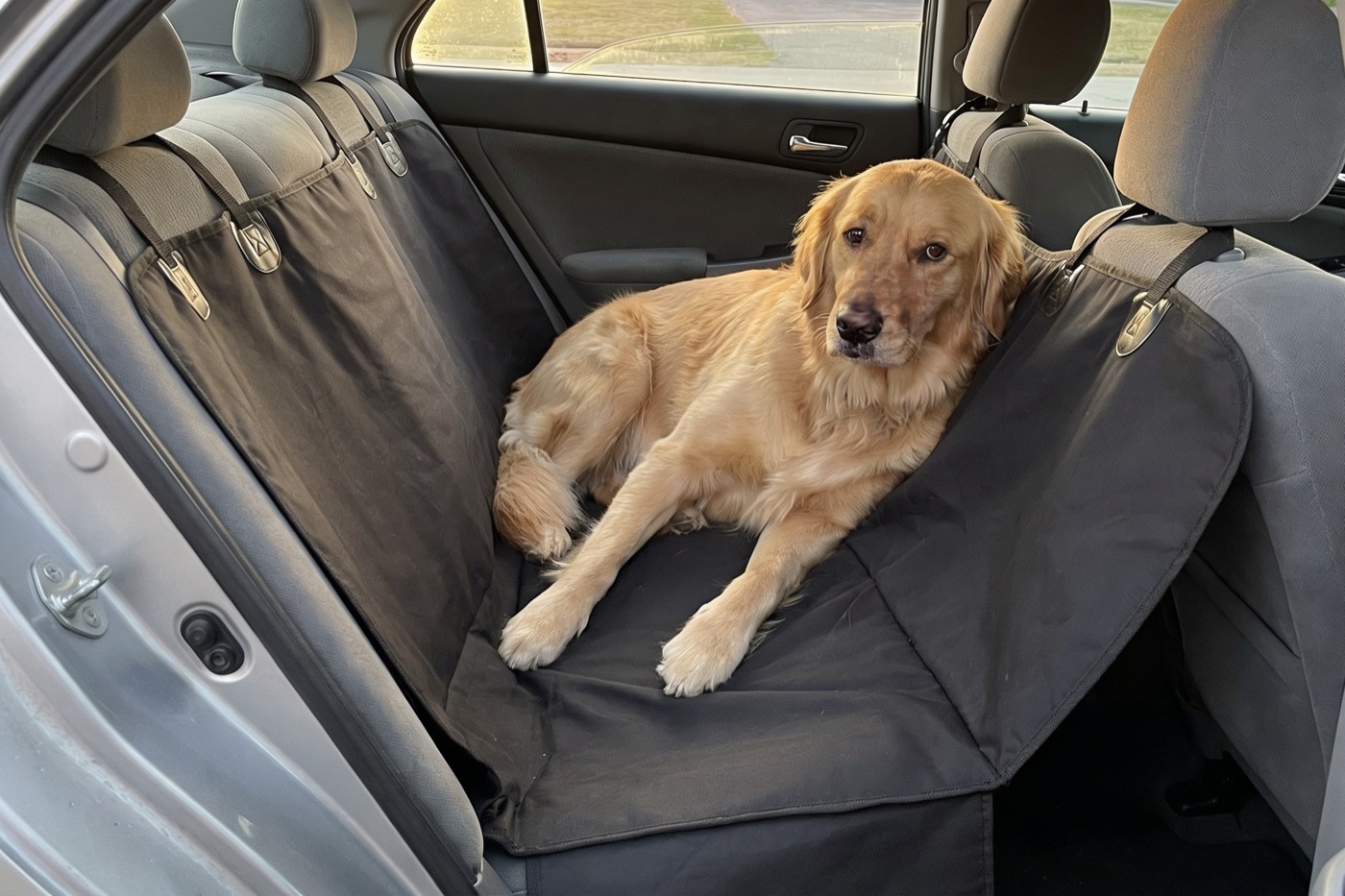 Cane su telo morbido economico in auto con sedile posteriore poco stabile
