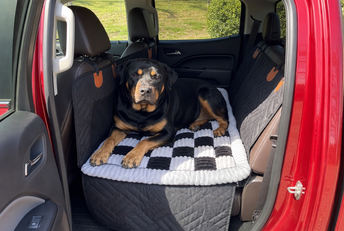 Cane grande sdraiato su coprisedile auto con fondo rigido e superficie stabile